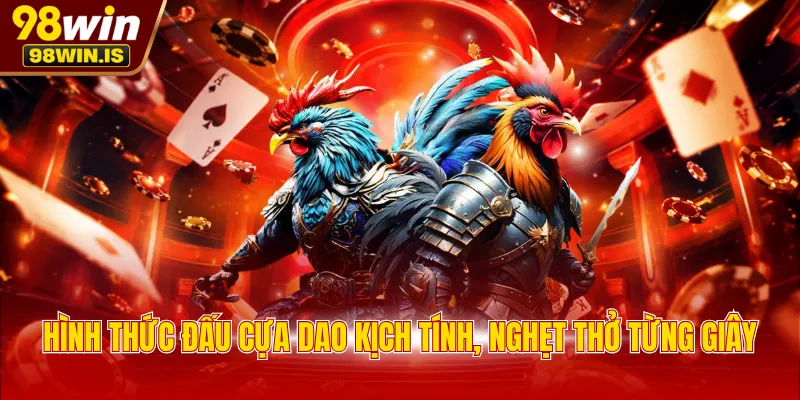Hình thức đấu cựa dao kịch tính, nghẹt thở từng giây
